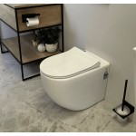 Norton 99 Quiet flushing technology Rimless Floor-mount Toilet Pan Only